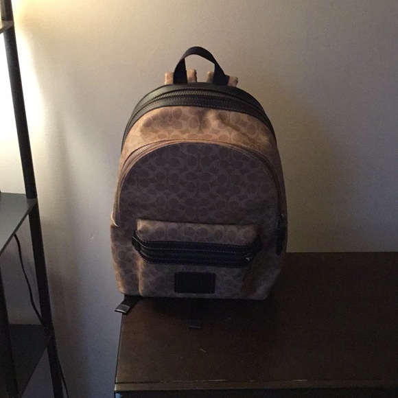 Meet your Posher, Christopher - Picture 5 of 5